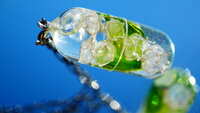 https://images.plurk.com/4ChSAnK3VeRMpVglXhDczd.jpg