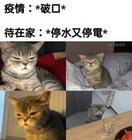 https://images.plurk.com/4CnjHeWrhx3vj0a4DwSqnP.jpg
