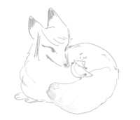 https://images.plurk.com/4CozTrKHdyDIIh7wfZ42pf.png