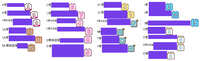 https://images.plurk.com/4CpcNFcOySteasQt2NCK3G.jpg