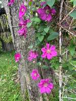 https://images.plurk.com/4Cu9kGGJwuH3d647PwsfI0.jpg