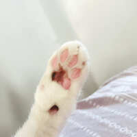 https://images.plurk.com/4CuZ7cCfFQZ658KU5tnDVZ.jpg