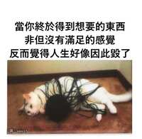 https://images.plurk.com/4D1TLMb1FEQ0uR2ZrqPYYf.jpg
