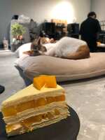https://images.plurk.com/4D2LylUdvd49kQpzVAqLZ5.jpg