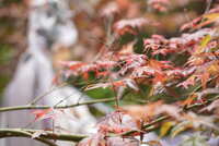 https://images.plurk.com/4D6tibqzGAEW92zTMfnzd8.jpg