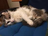 https://images.plurk.com/4D741OCF034vWqNq5wAF2D.jpg