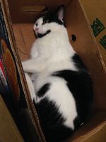 https://images.plurk.com/4DEeJhfwJ36KKeH2jje2vi.jpg