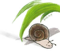 https://images.plurk.com/4DPj44l3UN8X77dM9tRGcb.jpg