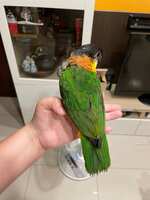 https://images.plurk.com/4DdsAbNeWi8nalrUjD0iiL.jpg