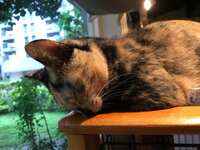 https://images.plurk.com/4DidNxkZBUXSmNtI72alcn.jpg