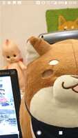 https://images.plurk.com/4Djk9yz51xHCGg8KJ3UcVE.jpg