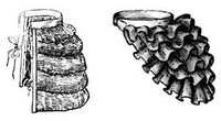 https://images.plurk.com/4DtjnRlIPEeaJ7Nsrdnyce.jpg