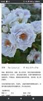 https://images.plurk.com/4DuqFdiLO3sMKc9WCYWhsG.jpg