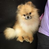 https://images.plurk.com/4ECVG4K3VJ4E7JkLamx99I.jpg