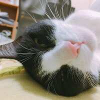 https://images.plurk.com/4EER8qmVJ5hdKw53DeX46M.jpg