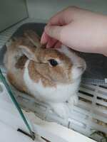 https://images.plurk.com/4EEf5fE6jQ8eGxoCsn8nR6.jpg