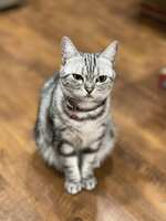 https://images.plurk.com/4EGKSANBLcS4ZLHstsXLiY.jpg