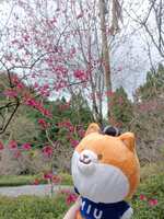 https://images.plurk.com/4ENuN4wKkyMM1ItKtStMRG.jpg