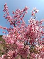 https://images.plurk.com/4EQEc84ef8H1VR32X6dxt4.jpg