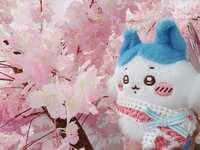 https://images.plurk.com/4EYQFEz3uNVF2rjkawp0R.jpg