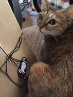 https://images.plurk.com/4Ell770P6XAZgnFqYysSND.jpg
