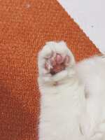 https://images.plurk.com/4EwY9BT8PjRbDm67EfdKi4.jpg