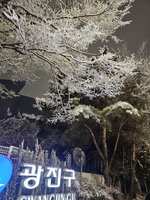 https://images.plurk.com/4Ez4m8aIntML9ryqfkC9PR.jpg