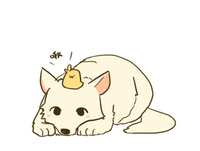 https://images.plurk.com/4F5kWwXYxPPaHKu5UmCgpb.jpg