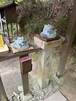 https://images.plurk.com/4FAop9crSykH3SaG3lCjWL.jpg