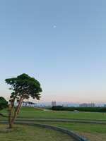 https://images.plurk.com/4FDGGNZTLZRO7q1x6JxYT5.jpg