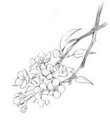 https://images.plurk.com/4FEA44UcYC7n9S2jqogF78.png