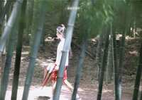 https://images.plurk.com/4FTOsvy1l2sAq9zZhiA2mW.jpg
