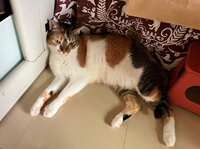 https://images.plurk.com/4FjO0GBNMUFe2wZZbgRH0g.jpg