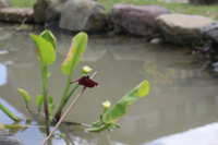 https://images.plurk.com/4Fs2qXxAiPjKjvMz3FmARf.jpg