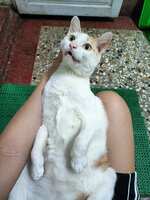 https://images.plurk.com/4G7xOUQSlOJOq11KU7GQCe.jpg