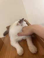 https://images.plurk.com/4GCbqC8TUCFR3LMTH3x2VY.jpg