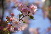 https://images.plurk.com/4GE20tsXPec90h8sVQWAQc.jpg