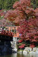 https://images.plurk.com/4GJZ2Vqd2srYyrCpWnWKI5.jpg