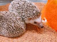 https://images.plurk.com/4GOqv076rVkclCHBMCXbso.jpg