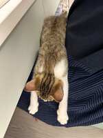 https://images.plurk.com/4GdCBKk5wdozVnFN3UaJA2.jpg