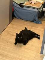https://images.plurk.com/4Ge0egPEVFfszo59jMkuTj.jpg