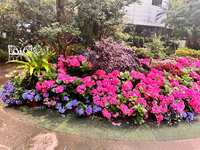 https://images.plurk.com/4GgCMS5y2Tint9y9EPAJjH.jpg