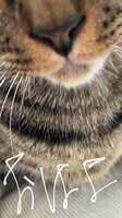 https://images.plurk.com/4Gj2eDP2jgQHXZDXlrsPew.jpg
