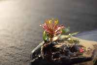 https://images.plurk.com/4GjQChtQ29wqmanhPtGpcf.jpg