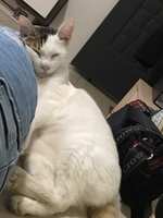 https://images.plurk.com/4Gp9j5zanflDDvZHwc3hzc.jpg