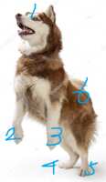 https://images.plurk.com/4GuQbU5dHPwZha9VCJQ95n.png