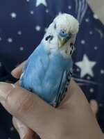 https://images.plurk.com/4H3M3Rj7IKN32OLHOst4Ip.jpg