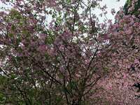 https://images.plurk.com/4HHTO1No8yH5UcjC3nApPS.jpg