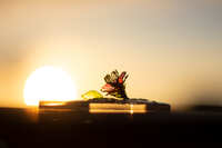 https://images.plurk.com/4HJgwlqnvIZ0URq06SNV63.jpg