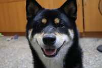 https://images.plurk.com/4HLhsuco6ufPoDbVdq8kfy.jpg